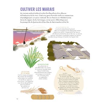 Les mains dans la nature - La mer