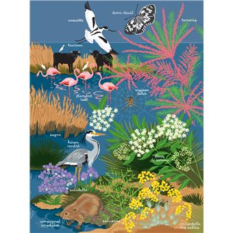 Les mains dans la nature - La mer