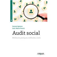 Audit social