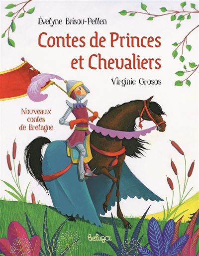 Contes de princes et de chevaliers - Evelyne Brisou-Pellen - broché