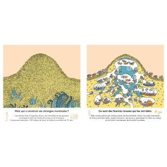 Mais qu'est-ce que c'est ?