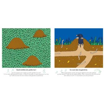 Mais qu'est-ce que c'est ?