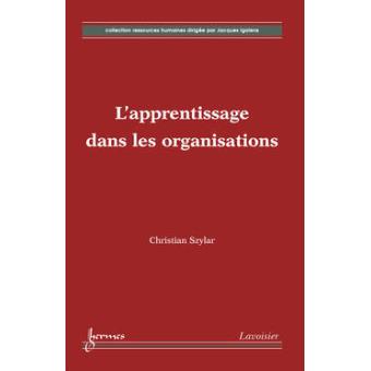 L'apprentissage dans les organisations