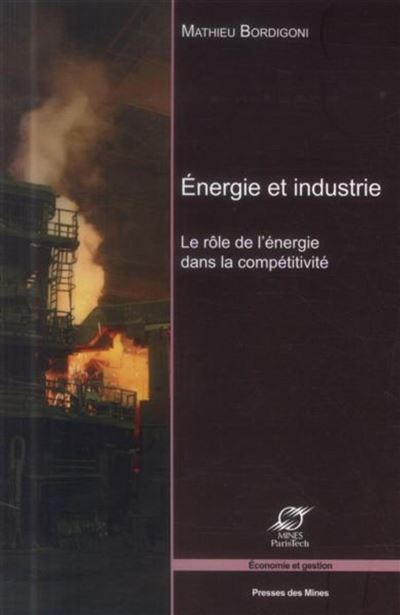 Énergie et industrie - Mathieu Bordigoni - broché