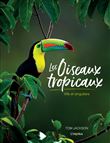 Les oiseaux tropicaux