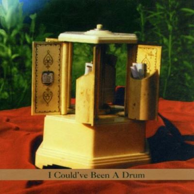 I could ve been a drum