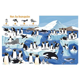 Cherche et trouve 1000 bébés animaux