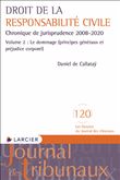 Droit de la responsabilité civile - Chronique de jurisprudence 2008-2020 Volume 2 : Le dommage (