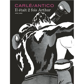Il était 2 fois Arthur