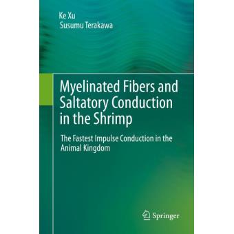 Myelinated fibers and saltatory conduction in the shrimp - 1
