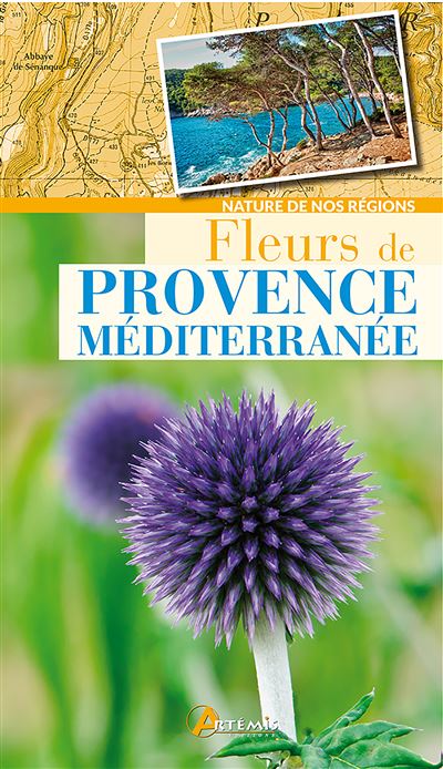 Fleurs de Provence
