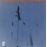 Raw blues_0