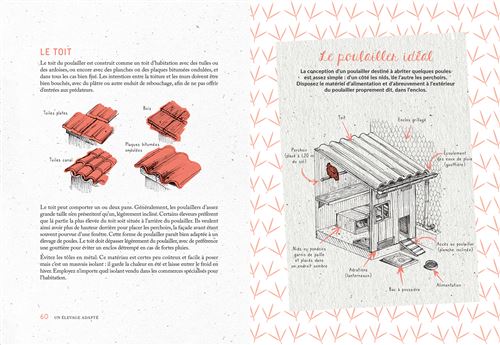 Ju0027élève mes poules dans mon jardin Le manuel complet pour 