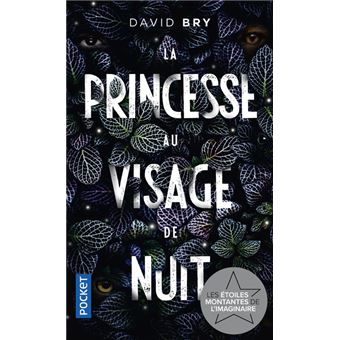 La Princesse au visage de nuit