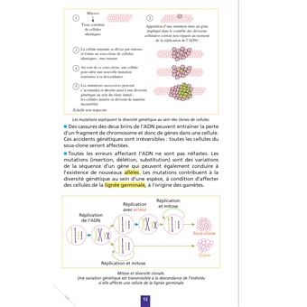 Objectif BAC Fiches détachables Spécialité SVT tle