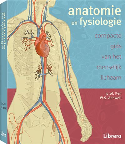 Anatomie En Fysiologie - Paperback - Librero, Boek Alle Boeken Bij Fnac.be