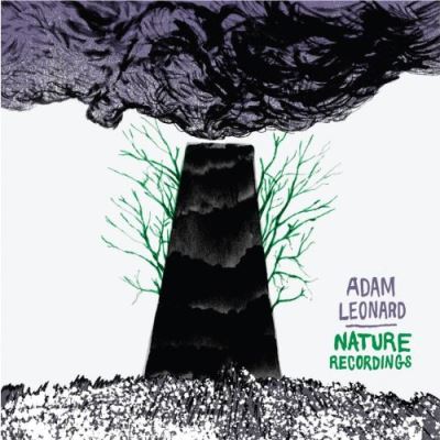 Nature recordings