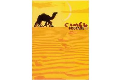 CAMEL FOOTAGE 2