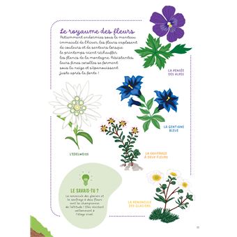 Les mains dans la nature - La montagne