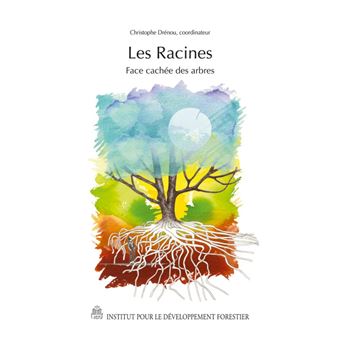 Les racines face cachée des arbres