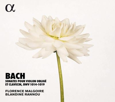 Sonates pour violon oblige et clavecin BWV 1014-1019