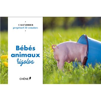 Calendrier 52 Semaines Bebes Animaux Rigolos Relie Collectif Achat Livre Fnac