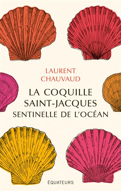 Petite histoire de la coquille saint-jacques