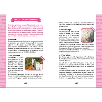 Le Galop des Étoiles - Chevaux en danger - Tome 10