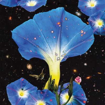 Nighttime Birds And Morning Stars Vinyle rose