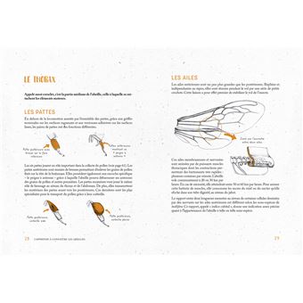 Je fais mon miel dans mon jardin