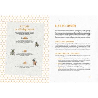 Je fais mon miel dans mon jardin