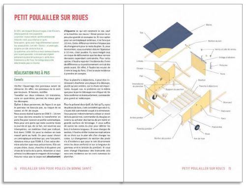 Poulailler Sain Pour Poules En Bonne Santé