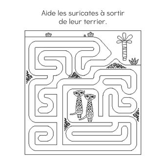 Jeux effaçables - animaux - avec un feutre effaçable