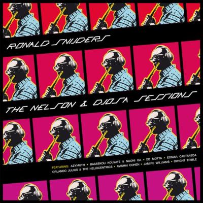 NELSON & DJOSA SESSIONS/LP
