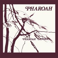 Pharoah (1977) Coffret