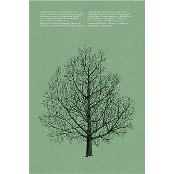 L'Architecture des arbres