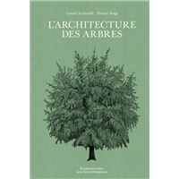 L'architecture des arbres