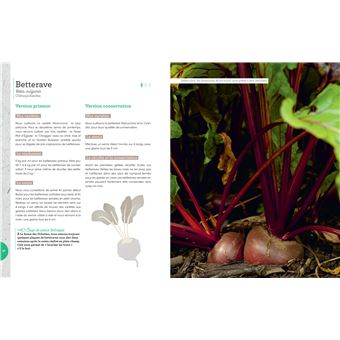 Dans votre potager, tout va pousser !