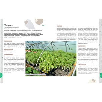 Dans votre potager, tout va pousser !