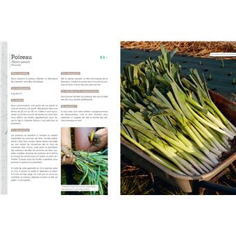 Dans votre potager, tout va pousser !