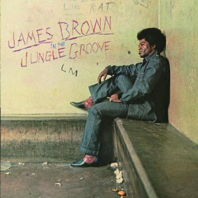 Jungle groove