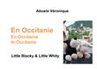 En Occitanie