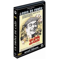 Un drôle de caïd - DVD Zone 2 - Jacques Poitrenaud - Louis