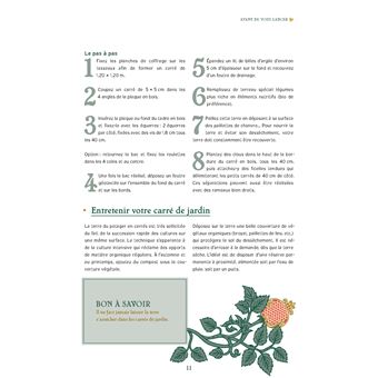 Carrés de plantes de sorcière