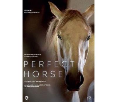 PERFECT HORSE-NL