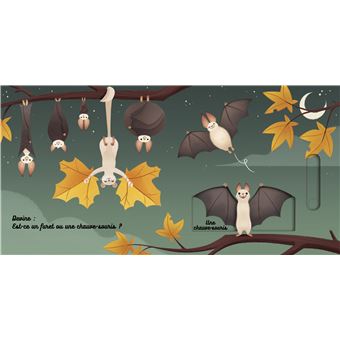 Je reconnais les animaux de la forêt