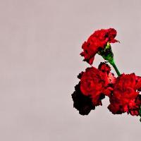 Love in the future Edition Deluxe