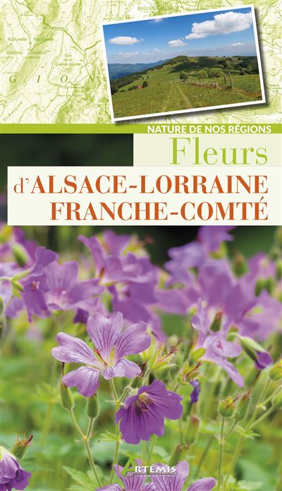 Fleurs d'Alsace-Lorraine-Franche-Comté -  Collectif - broché