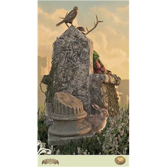 Coffret Vice Versa Tarot