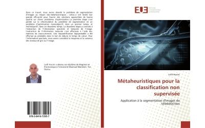 Métaheuristiques pour la classification non supervisée